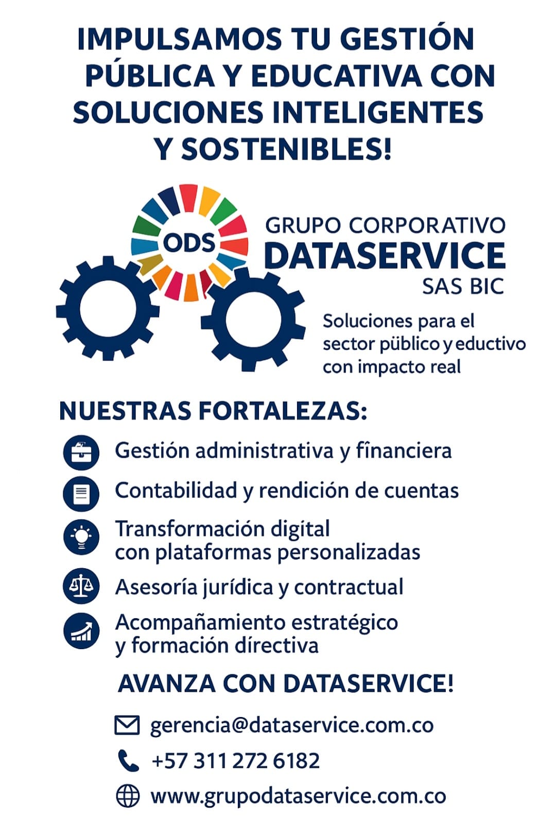 Dataservice Publicidad 1